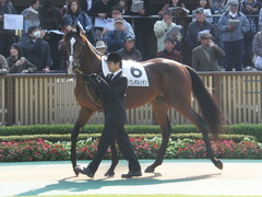 20131117 東京 ビップレボルシオン 02
