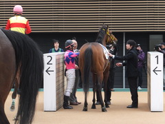 20160312 中山6R 3歳500万下 ノーモアゲーム 16