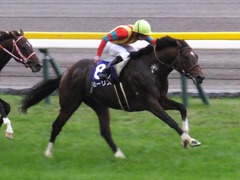 20161030 東京11R 天皇賞・秋(G1) モーリス 27