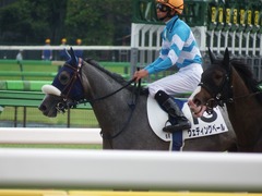 20180609 東京6R 3歳牝馬未勝利 ウェディングベール 16