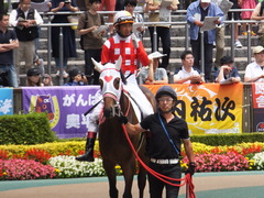20170611 東京6R 2歳牝馬メイクデビュー サラート 13