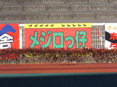 20151229 大井10R 東京大賞典 (G1) ユーロビート 01
