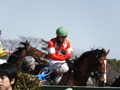 20140308 中山6R レッドリベリオン 17