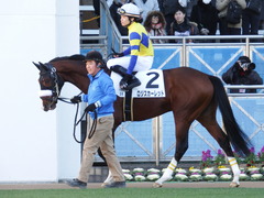 20171228 中山3R 2歳未勝利 ロジスカーレット 11