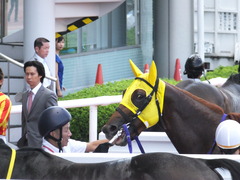 20150920 阪神7R 3歳上500万下 イサチルホープ 14