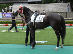 20140628 東京2R トマトリコピン 09