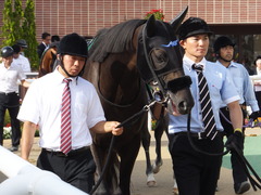 20160903 札幌11R 札幌2歳S(G3) トリオンフ 15