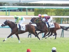 20151227 中山4R 2歳メイクデビュー アークアーセナル 15