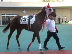 20141221 中京6R 2歳未勝利 レーヌドブリエ 04