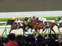 20180401 阪神11R 大阪杯(G1) トリオンフ 10
