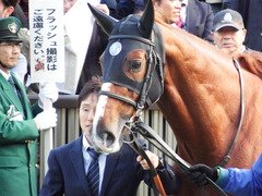 20171112 東京10R 奥多摩S(1600) クライムメジャー 14