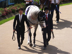 20140504 京都11R 天皇賞春 ゴールドシップ 06
