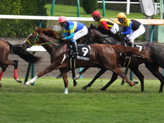 20150927 中山9R 芙蓉ステークス プランスシャルマン 19