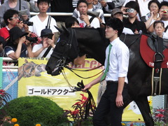 20160925 中山11R オールカマー(G2) サトノノブレス 05