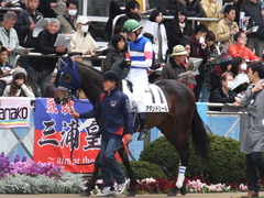 20160327 中山4R 3歳未勝利 アタンドリール 04