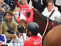 20180415 中山9R 鹿野山特別(1000) ピッツバーグ 12