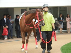 20180929 中山5R 2歳牝馬メイクデビュー オトナノジジョウ 06