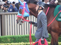 20181117 東京11R 東スポ杯2歳S(G3) アドマイヤスコール 06