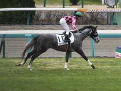 20150315 中山5R 3歳未勝利 グローリアスレイ 12