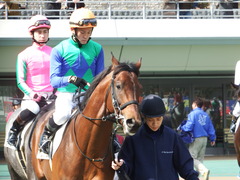 20180217 東京4R 4歳上障害未勝利 トーセンカナロア 12