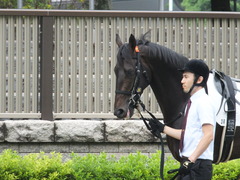 20150614 東京3R 3歳未勝利 コスモポッポ 03