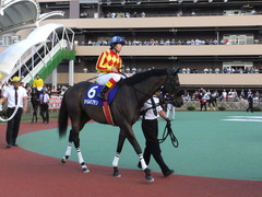 20150720 船橋11R 習志野きらっとS(S3) カベルネフラン 09