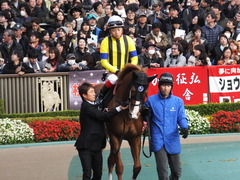 20151129 東京10R ウェルカムS アッシュゴールド 12