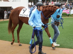 20180922 中山2R 2歳牝馬未勝利 ヴァルドワーズ 07