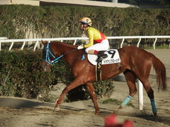 20181205 大井1R 2歳270 ドナアンブロージア 17