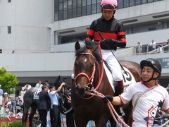 20170514 京都5R 3歳未勝利 ホウオウドリーム 18