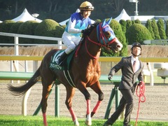 20181117 東京11R 東スポ杯2歳S(G3) アドマイヤスコール 17