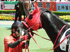 20180603 東京8R(500) ノーザンクリス 12