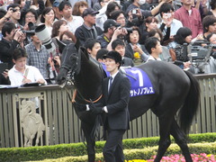 20141102 東京11R 天皇賞(秋) サトノノブレス 01