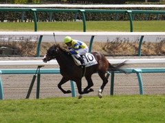 20150321 中山5R 3歳未勝利 ロジダーリング 13
