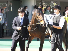 20131116 東京 サンドラバローズ09