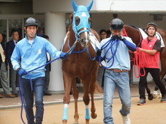 20180922 中山2R 2歳牝馬未勝利 ヴァルドワーズ 06