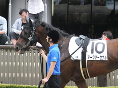 20170527 東京8R 4歳上500 アークアーセナル 06