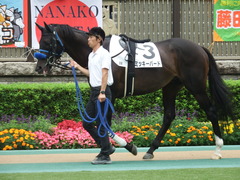 20180617 東京8R (500) ミッキーバード 09