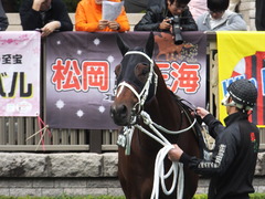20151031 東京10R 赤富士S ショウナンアポロン 11