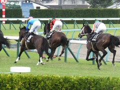 20170930 中山10R 習志野特別(1000) オウケンブラック 16