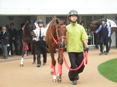 20180929 中山5R 2歳牝馬メイクデビュー オトナノジジョウ 14