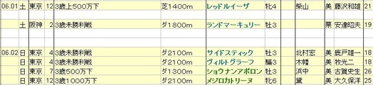 2013060102想定
