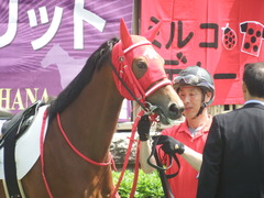20190512 東京1R 3歳未勝利 ハクシンドリーム 06