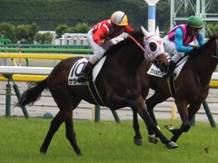 20170611 東京6R 2歳牝馬メイクデビュー サラート 20
