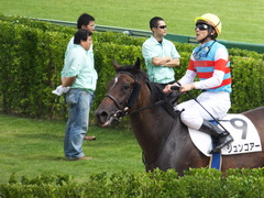 20150919 中山4R 3歳未勝利 ジュンコアー 12