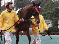 20151224 大井2R 2歳新馬 マルカンヒラリー 02
