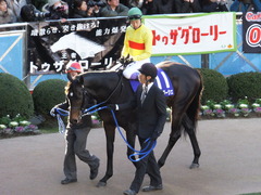 20131222 有馬記念 ラブイズブーシェ 04