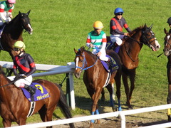 20151025 京都11R 菊花賞(G1) マッサビエル 22