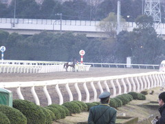 20151224 大井2R 2歳新馬 マルカンヒラリー 17