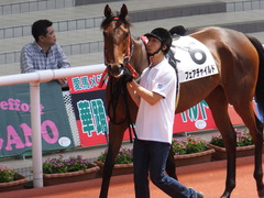 20170603 阪神3R 3歳未勝利 フェアチャイルド 03